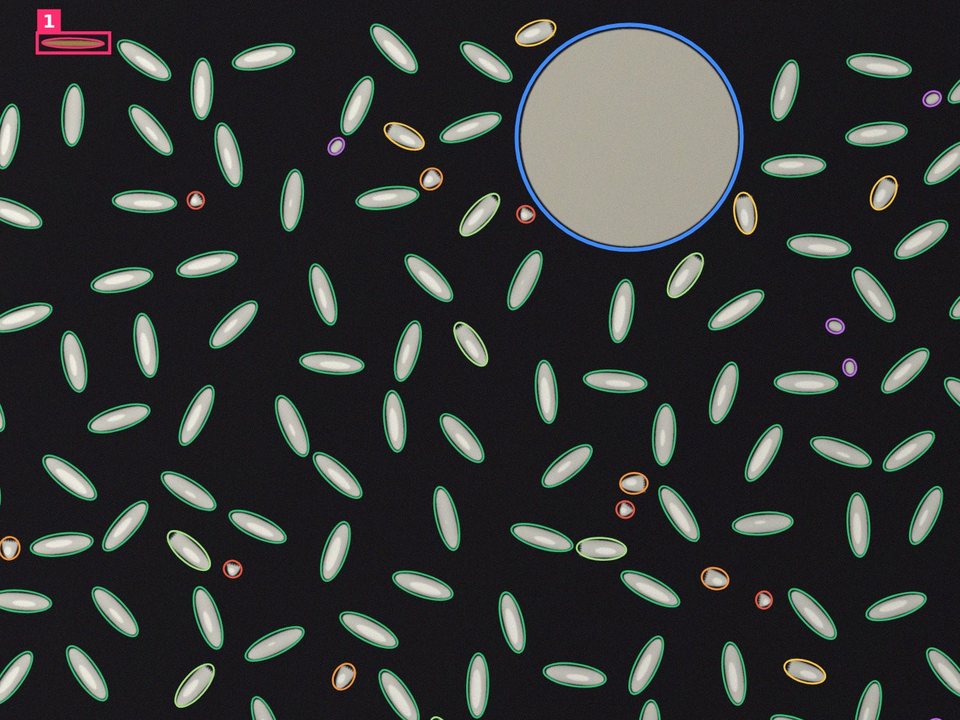 Scanner output: each rice kernel outlined and colour-coded as whole, head or broken, with a reference coin and a flagged dark particle